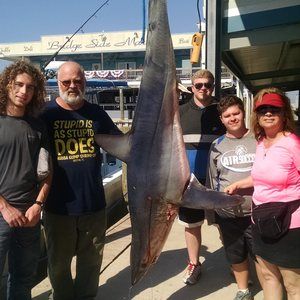 Meet your Posher, Donna